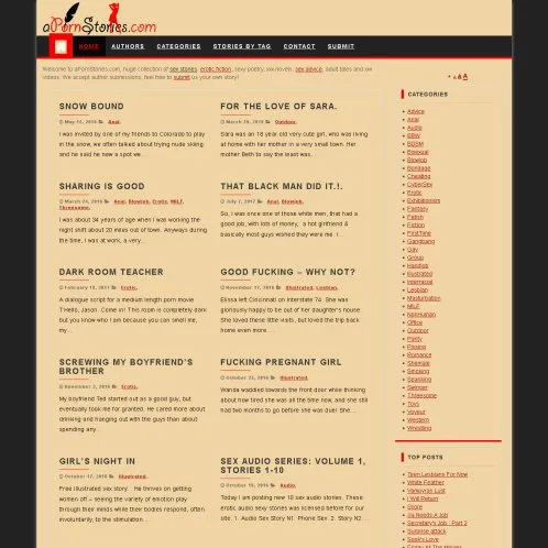 A Porn Stories